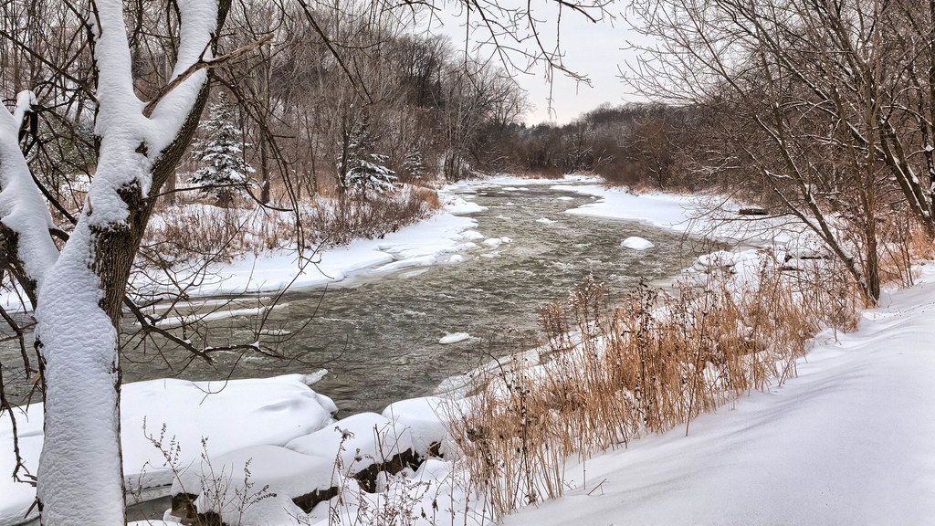 建立良好信用分數
