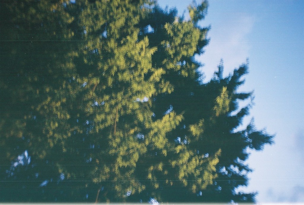 財務自由之路圖示