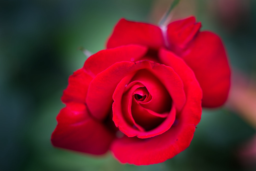 挑選最佳利率帳戶